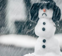 Погода в Туле 31 января: снег с дождём, гололед и оттепель