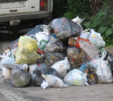 В Туле появится новая техника для уборки мусора