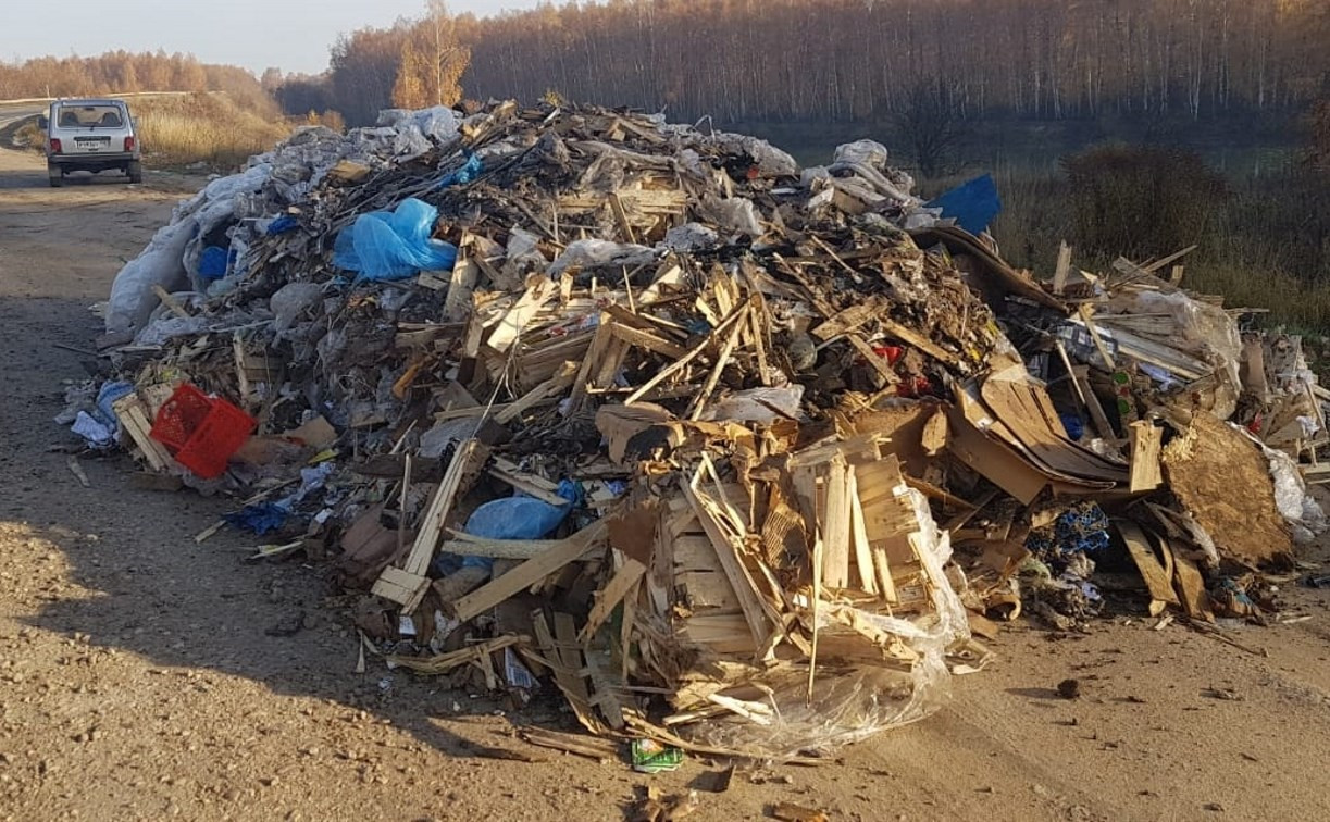 Столичным мусором в Тульской области займется минэкологии