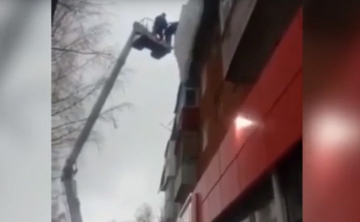 Щекинские коммунальщики вместе с наледью сбили вывеску магазина: видео