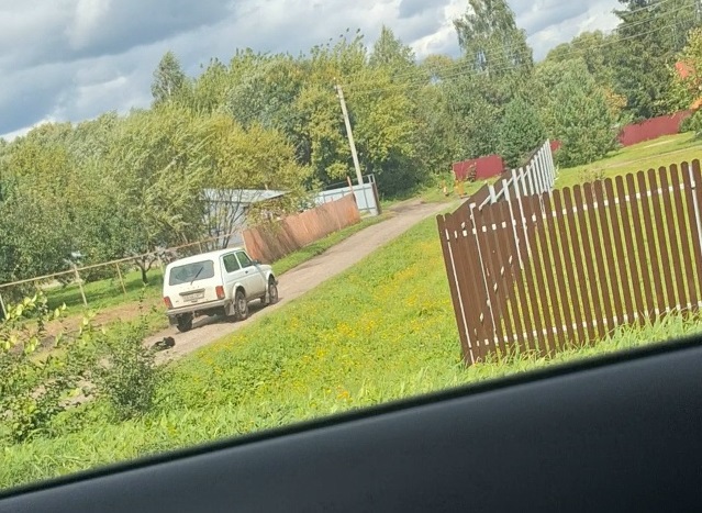 В Богородицке водитель привязал к машине мертвую собаку и тащил ее по поселку