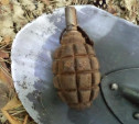 В Туле на набережной Дрейера нашли гранату