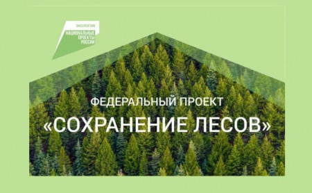 Жизнь Тулы и области