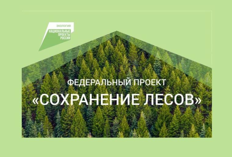 Туляков приглашают присоединиться к Всероссийской акции «Сохраним лес!»