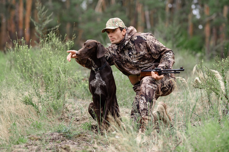 В день по зайцу: тульским охотникам напомнили о нормах отстрела животных и птиц