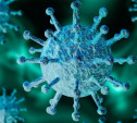 В Тульской области выявлено 29 новых случаев коронавируса