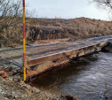 В Тульской области от воды освободился еще один мост