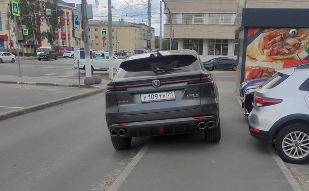 В центре Тулы водитель кроссовера выбрал тротуар, а не парковку