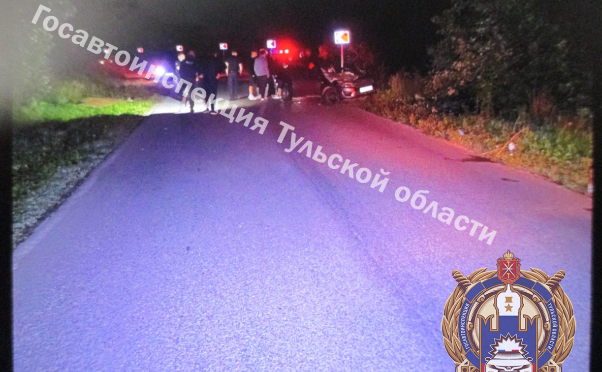 В Богородицком районе водитель Lada погиб, врезавшись в дерево 