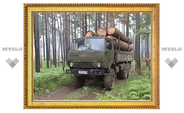 Экс-глава «Одоевлес» сел в тюрьму на три с половиной года