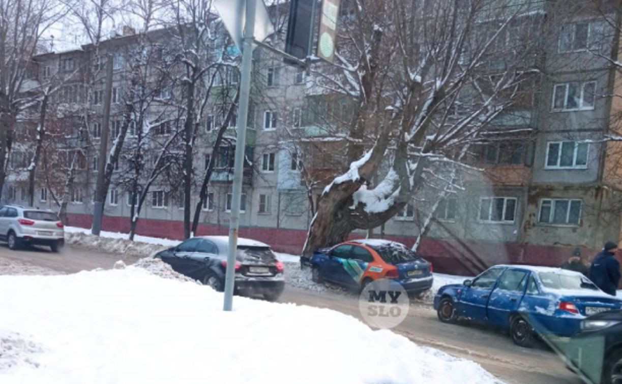 В Туле на ул. Калинина машина каршеринга врезалась в дерево