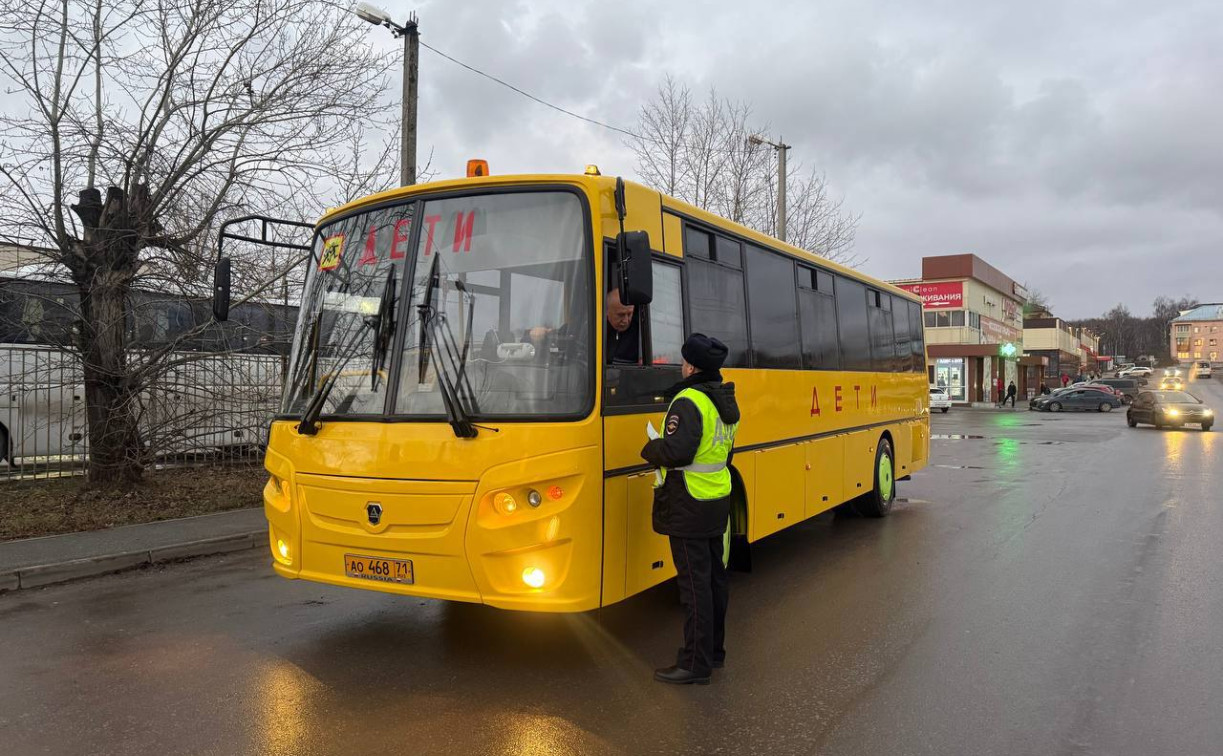 Рейд «Безопасный автобус» в Тульской области: за неделю более двухсот нарушений ПДД
