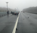 10 ноября на трассах в Тульской области погибли два пешехода