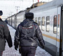 В Туле на Московском вокзале построят павильон для досмотра пассажиров