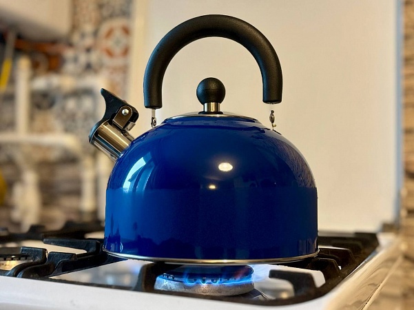 В Чернском районе деревню Слободку подключили к газу 