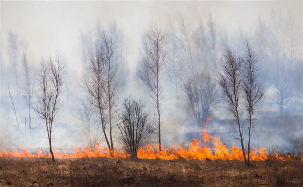 За неделю тульские пожарные уже более 150 раз выезжали на пал травы