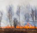 За неделю тульские пожарные уже более 150 раз выезжали на пал травы