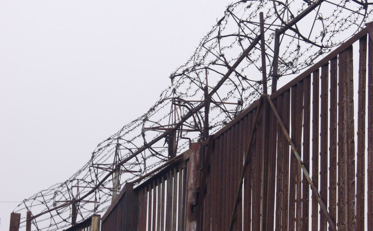 В одной из колоний Тульской области предотвратили попытку организации теракта 