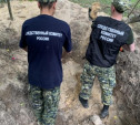 Под Тулой найдены останки расстрелянных фашистами в годы войны мирных жителей