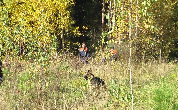 Полиция Кимовского района нашла потерявшуюся в лесу пенсионерку