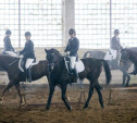 В Прилепах прошёл открытый любительский турнир по конному спорту