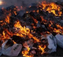 В Тульской области за сжигание мусора будут штрафовать на 5 000 рублей