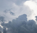 Погода в Туле 15 июня: до +23 градусов и небольшой дождь
