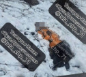 На Ивановских дачах в Туле найден труп мужчины в оранжевой куртке: СК проводит проверку