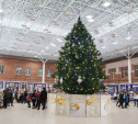 В Тульском кремле открылась новогодняя елка