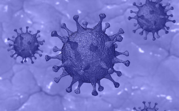 В Тульской области еще один заболевший коронавирусом