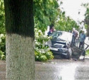 В Советске «бесправный» водитель на Toyota Corolla врезался в дерево