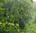 Погода в Туле на выходные: дождь, лёгкий ветер, до 22 градусов тепла
