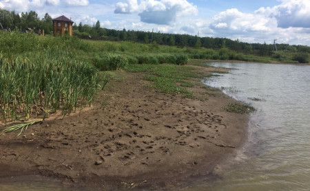 Жизнь Тулы и области