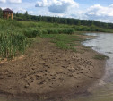 Жители ясногорской деревни: «Москвич уничтожает наш пруд!»