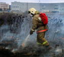 С начала года в Туле и области пожарный надзор поймал 181 поджигателя сухой травы