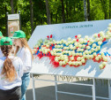 На акции «Белый цветок» туляки помогли детям