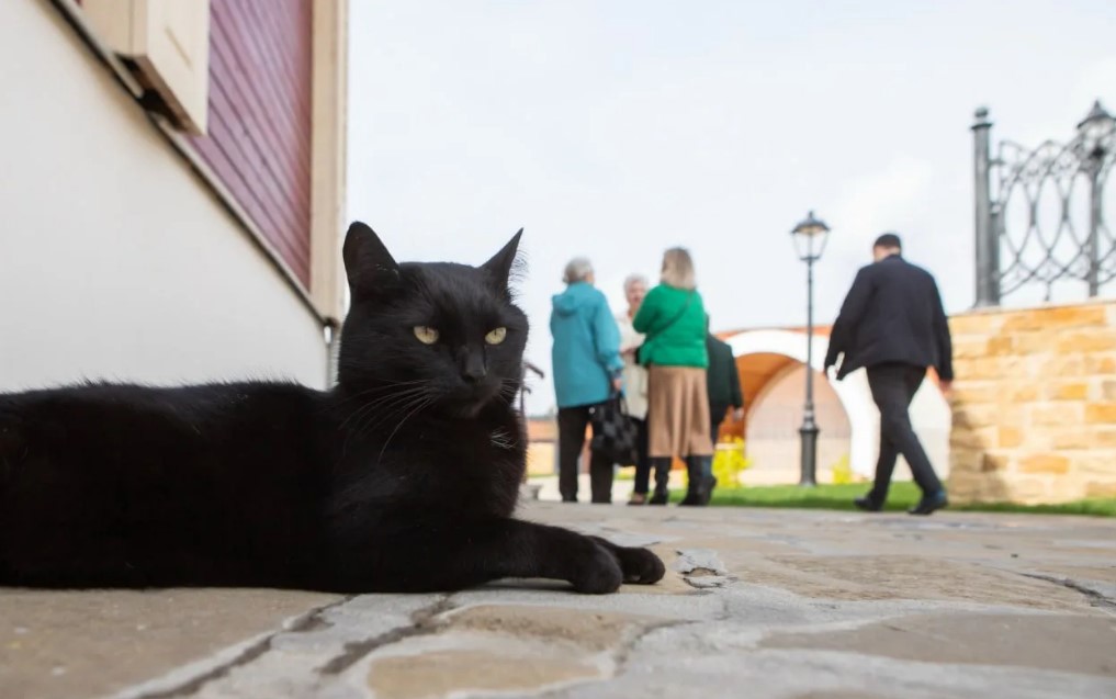 Погода в Туле 18 апреля: ветрено и до +14