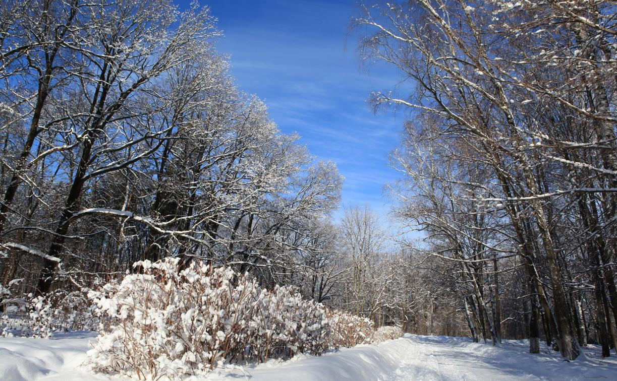 Погода в Туле 30 января: оттепель с небольшим снегом