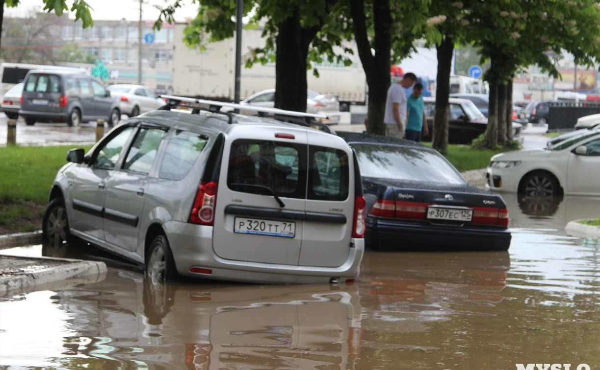 Во время ливня в Туле ветер повалил семь деревьев