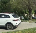 На ул. Ф. Энгельса автоледи на Kia Rio вылетела на тротуар