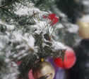 В Туле состоится акция «Рождественские колокольчики»