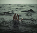 В Теплом из пруда извлекли тело пропавшего накануне мужчины