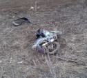 В Ясногорском районе водитель мопеда опрокинулся в кювет