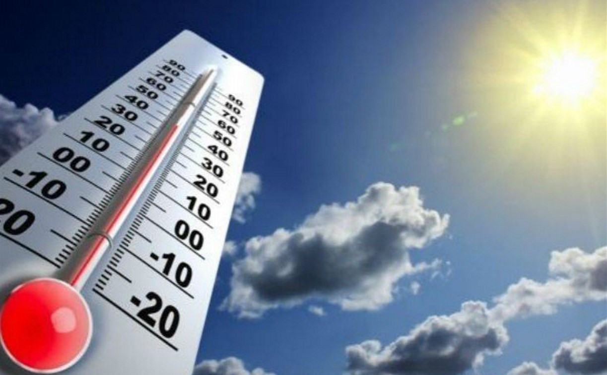 Уходящий год признан самым тёплым в истории России