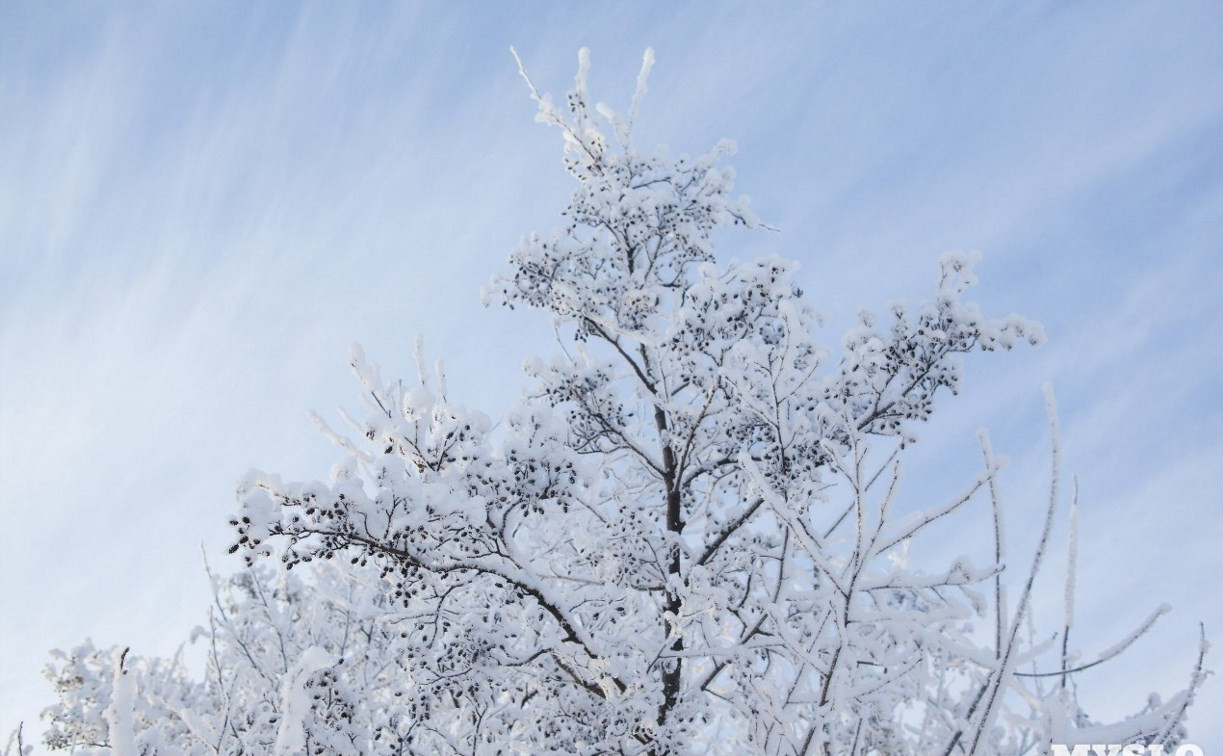 Погода в Туле 15 февраля: небольшой снег, южный ветер и облачность