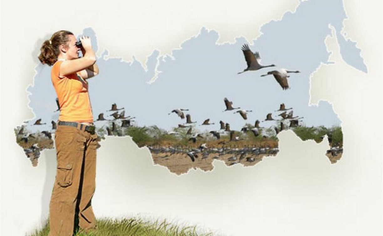 Музей «Куликово поле»приглашает принять участие в осенних учетах птиц