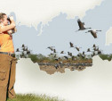 Музей «Куликово поле»приглашает принять участие в осенних учетах птиц