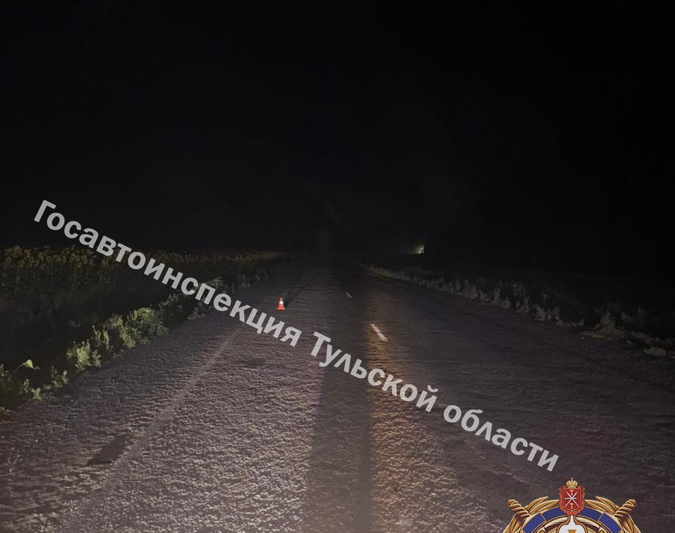 В Ефремовском районе подростки на мопеде сбили собаку и попали в больницу