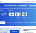 Тульские выпускники могут подать заявление в вуз через Госуслуги