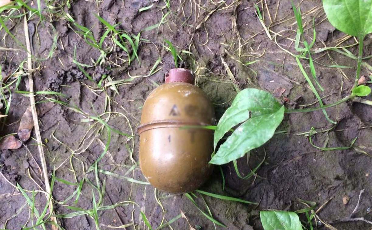 На Московском шоссе в Туле обнаружили боевую гранату